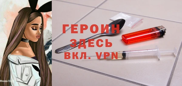 индика Арсеньев