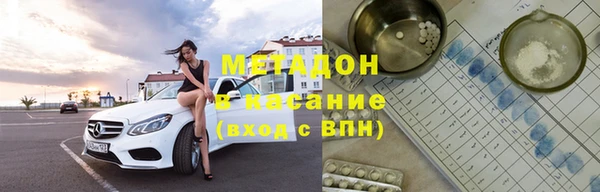 индика Арсеньев