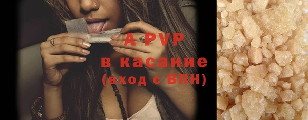 индика Арсеньев