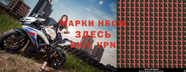 индика Арсеньев