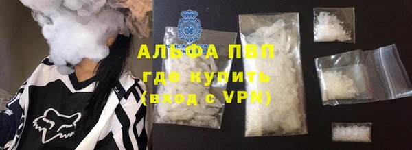 индика Арсеньев