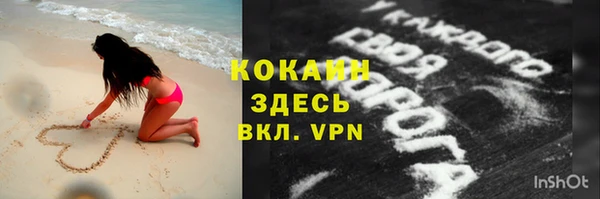 индика Арсеньев