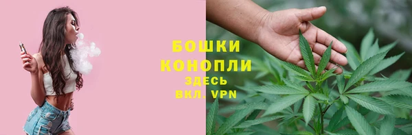 индика Арсеньев