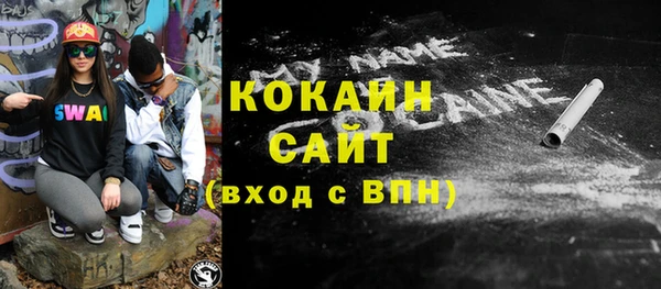 индика Арсеньев