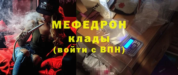 индика Арсеньев