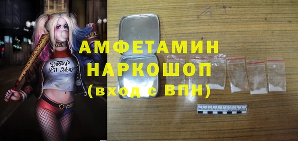 индика Арсеньев