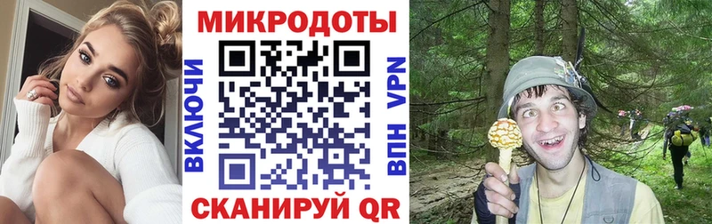 Галлюциногенные грибы мухоморы  Заозёрск 